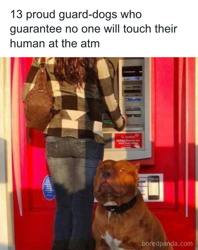 download 2025 11 02T194748.141.png