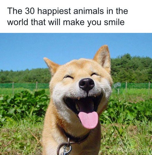 download 2025 11 02T202323.756.png