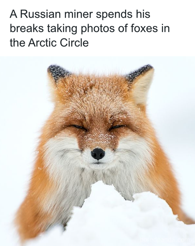 download 2025 11 02T195101.664.png