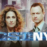 61ffeWvosvsgulvBNCrf6LfsOlx