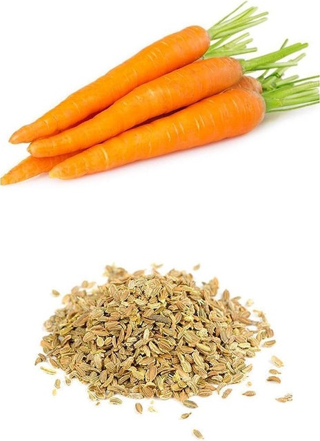 80 1carrot seeds bdsresolve orig.jpg