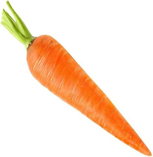 189 1carrot vegetable seeds bdsr.jpg