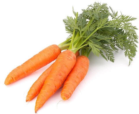 50 carrot seeds f1 hybrid gajae.jpg
