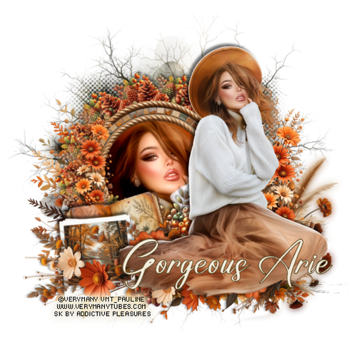 geousarie p vm ap cozyevening5 vi.png