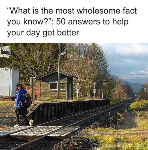 download 2025 11 02T204353.074.png