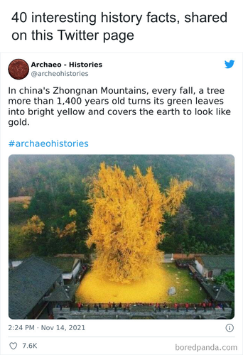 download 2025 11 02T210307.641.png