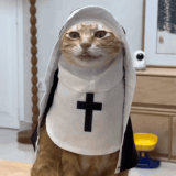 ezgif 1a19a0c94feec9.gif