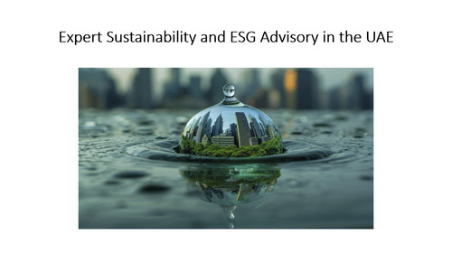 Sustainability Consultant in Dubai.jpg