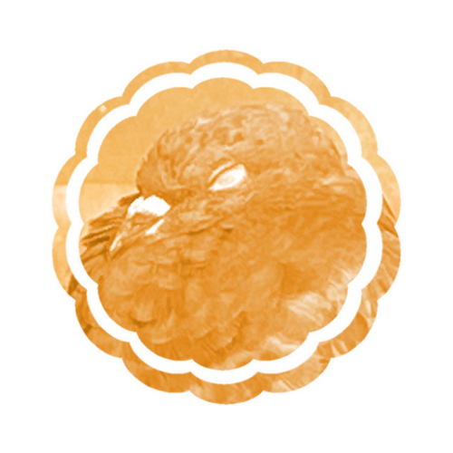 coo.png
