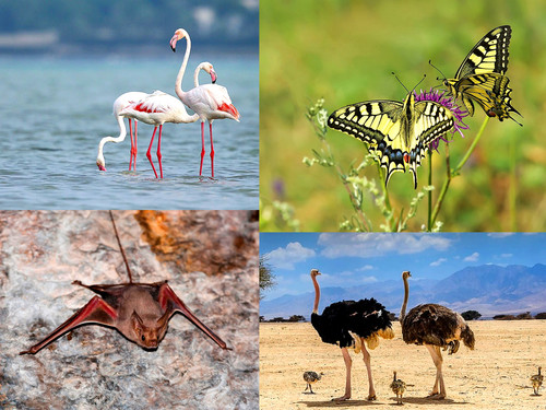 ' Glorified is The All Mighty Creator '.jpg