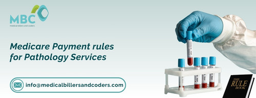 medicare payment rules for pathology services.1