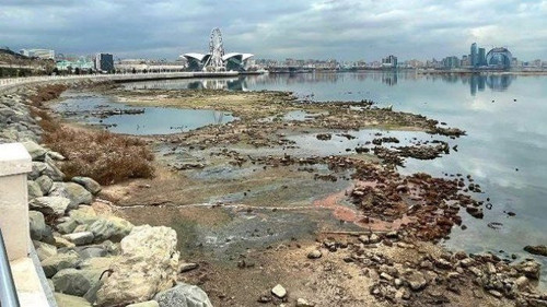 557641410 1116325860685628 1731314787489362887 n.jpg? nc cat=103&ccb=1 7& nc sid=833d8c& nc ohc=BZk2.jpg