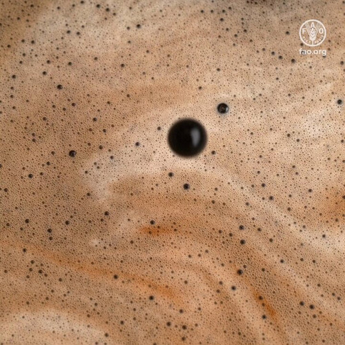 S5p9qw 57o 0ngUz.jpg