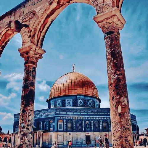 IMG 20210514 111033 794.jpg