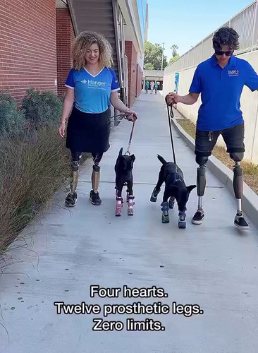 eGDtd pNQDQGorin.jpg