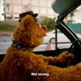 ezgif 71f34f5f8afadc.gif