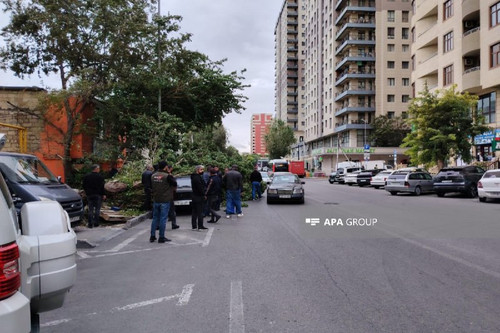 NlO1UL8VF1AneH YmXz6MUn jW1ef8 FNw 5yKBQTFVKaBOKFtRWt My qM8XUDIyl4nBPRjlcGAzfGR9HyzDy f5vSGqBG782CG.jpg