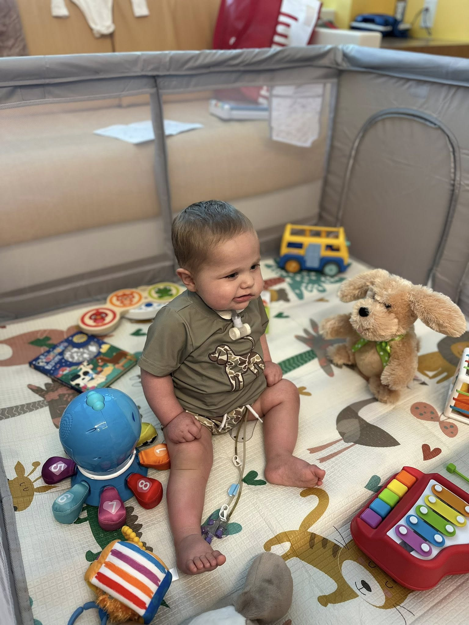 554075575 10238875768413526 2299862423936686150 n