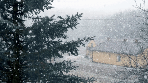 christmas gif.gif