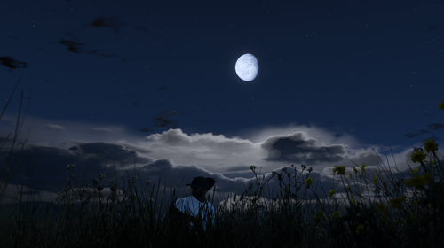 screenshot 1.png