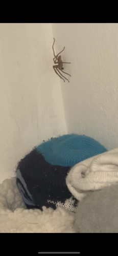 Screenshot 20251001 210411 WhatsApp