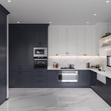 BSS Blue Single Shaker