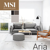 MSI ARIA