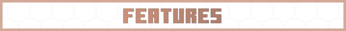 features.png