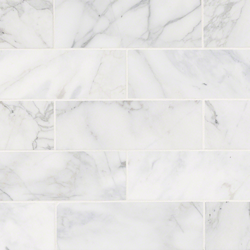 CALATTACA CRESSA.png