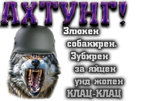 Без имени 1.jpg