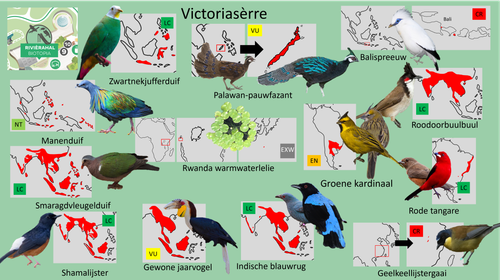 Victoria Sèrre Hoofdhal.png