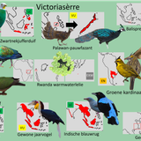 Victoria Sèrre Hoofdhal