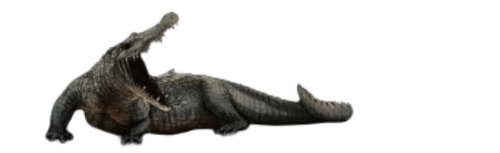 image 2025 10 01 181827137.png