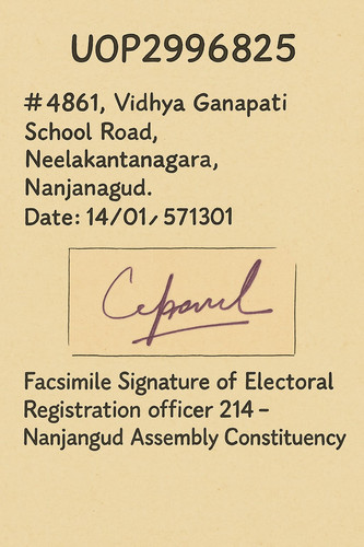 Johnson Voter back Ghibli.jpg