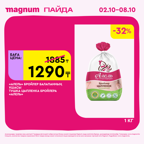 Magnum 1620x1620 1 tov 2025 10 01T114206.847.png