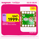 Magnum 1620x1620 1 tov 2025 10 01T114109.137