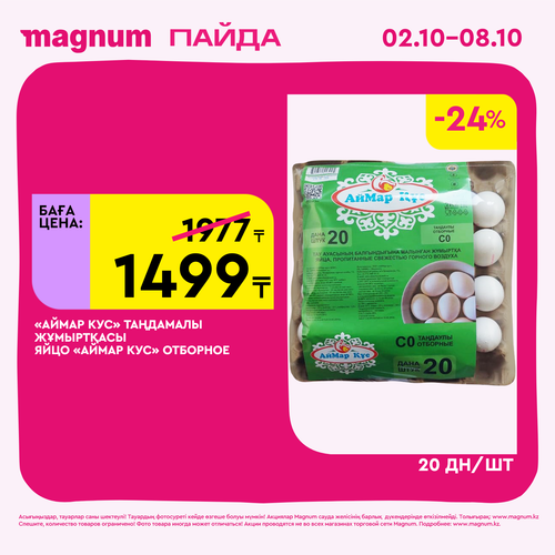 Magnum 1620x1620 1 tov 2025 10 01T114204.706.png