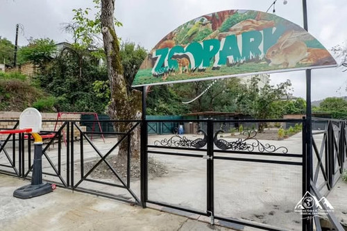 557536425 1336980604459394 917974065630112883 n.jpg?stp=dst jpg p526x395 tt6& nc cat=100&ccb=1 7& nc.jpg