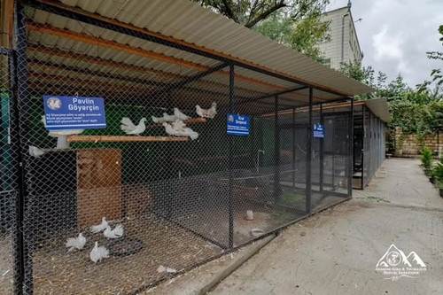 556360793 1336980601126061 4274637251026274654 n.jpg?stp=dst jpg p526x395 tt6& nc cat=106&ccb=1 7& n.jpg