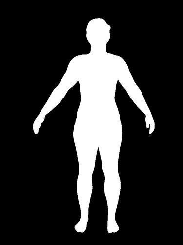 e430e31b3372.png