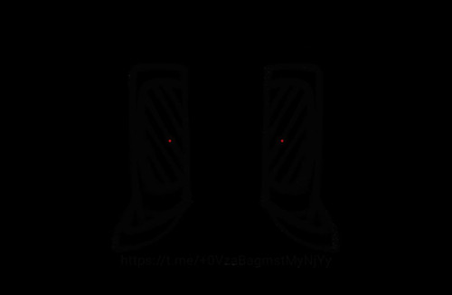 file 16866.jpg