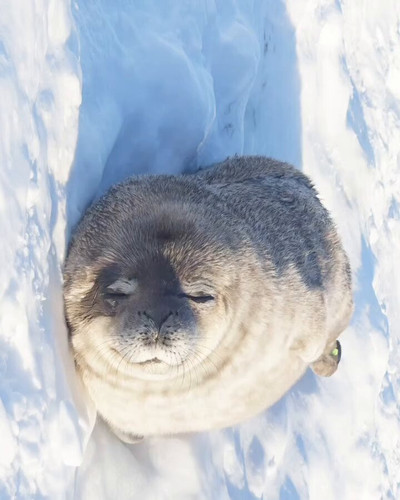 KlneCYx EpFjQhMG.jpg