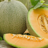 dualuoi2510