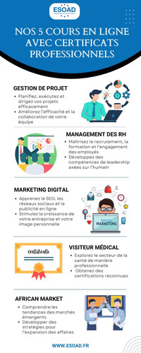 Nos 5 Cours en Ligne avec Certificats Professionnels.jpg