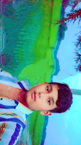 file 12288.jpg