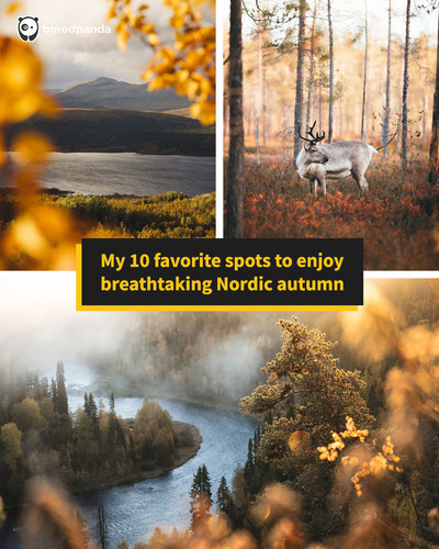 autumn magic by eeva makinen.jpg