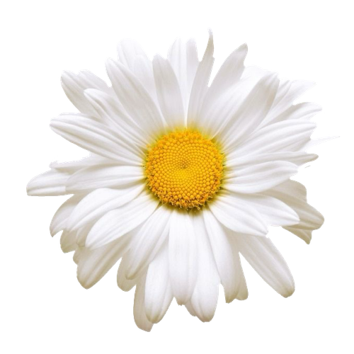 ไม่มีชื่อ 77 20251001031037.png