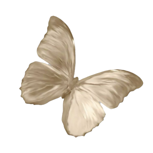 ไม่มีชื่อ 77 20251001030606.png