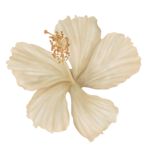 ไม่มีชื่อ 77 20251001030639.png