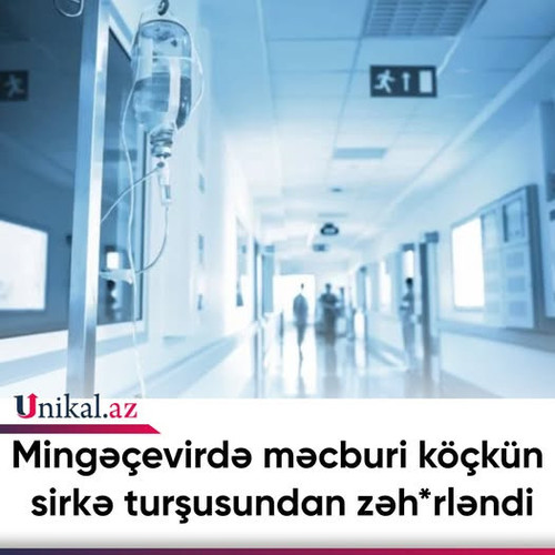 558085551 775410511971554 7971146676435080274 n.jpg?stp=dst jpg p526x296 tt6& nc cat=101&ccb=1 7& nc.jpg